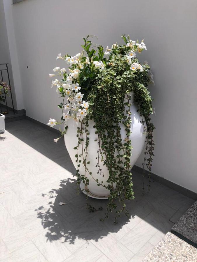 Il Fiore Bianco Capo d'Orlando Exterior photo